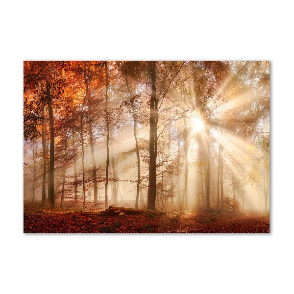 Glazen schilderij Mist in het herfstbos