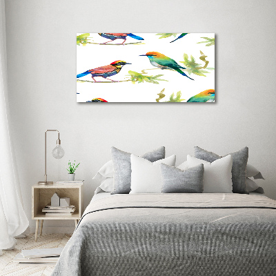 Foto schilderij op glas Exotische vogels