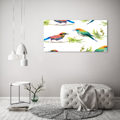 Foto schilderij op glas Exotische vogels