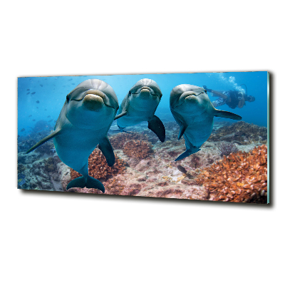 Foto schilderij op glas Dolfijnen