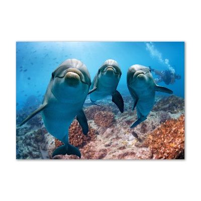 Foto schilderij op glas Dolfijnen