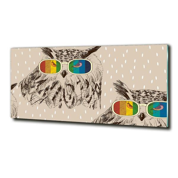 Foto schilderij op glas Uilen met een bril