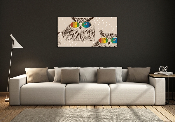 Foto schilderij op glas Uilen met een bril