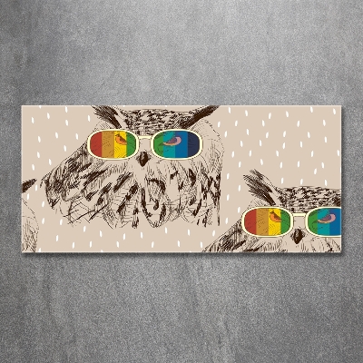 Foto schilderij op glas Uilen met een bril