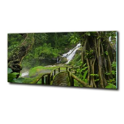 Glazen schilderij Waterval in de jungle