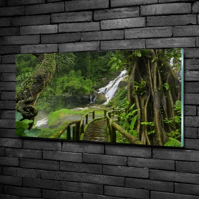 Glazen schilderij Waterval in de jungle