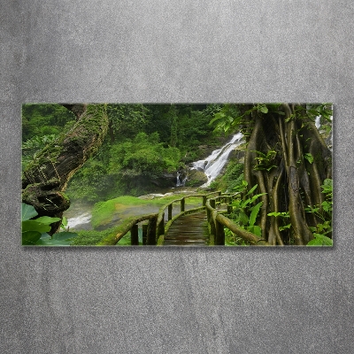 Glazen schilderij Waterval in de jungle