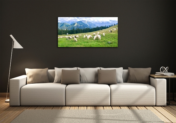 Glazen schilderij Schapen in het Tatragebergte