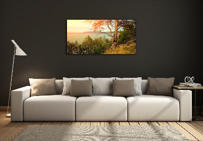 Glazen schilderij Scandinavisch meer