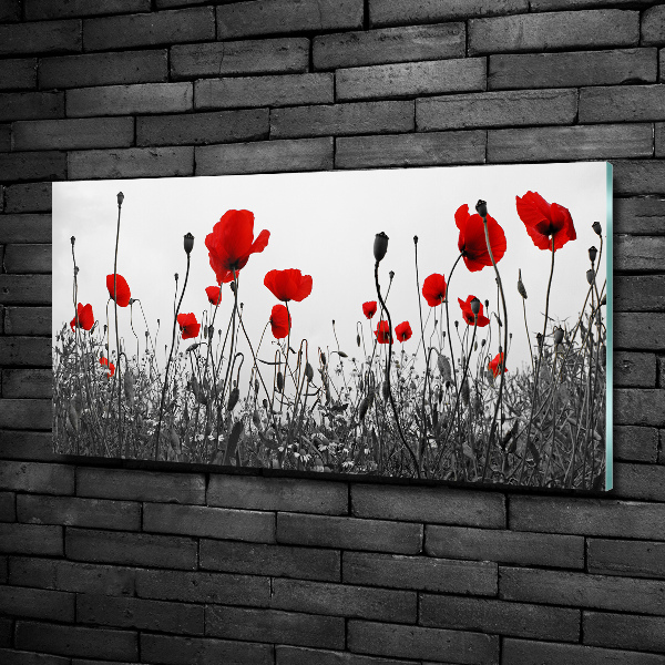 Schilderij glas Klaprozen