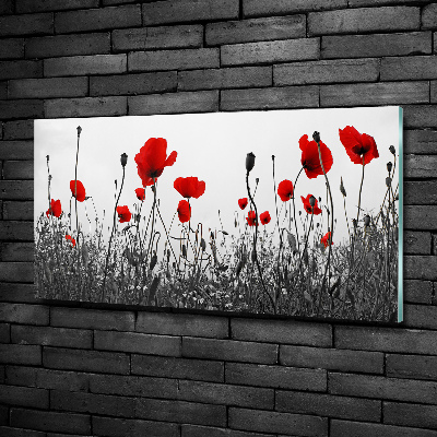 Schilderij glas Klaprozen