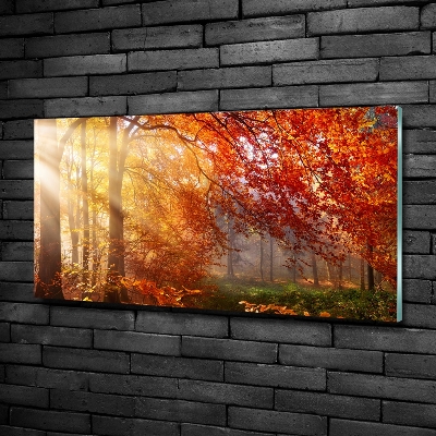 Foto schilderij op glas Herfstbos