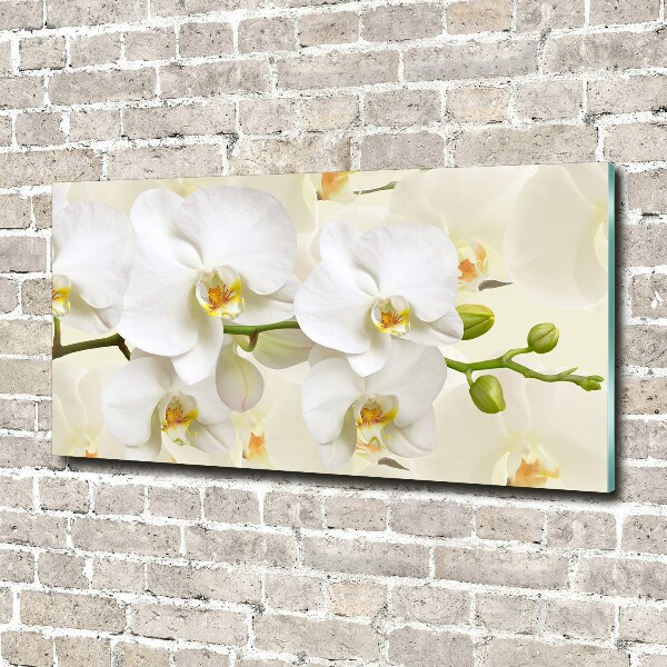 Schilderij op glas Orchidee