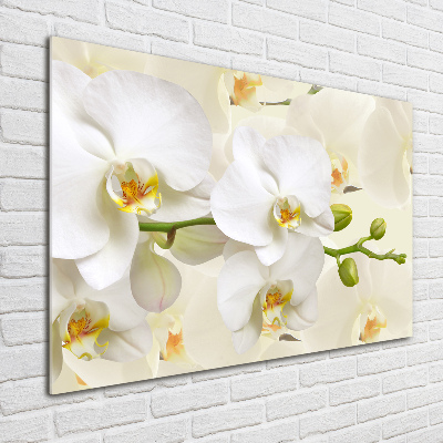 Schilderij op glas Orchidee