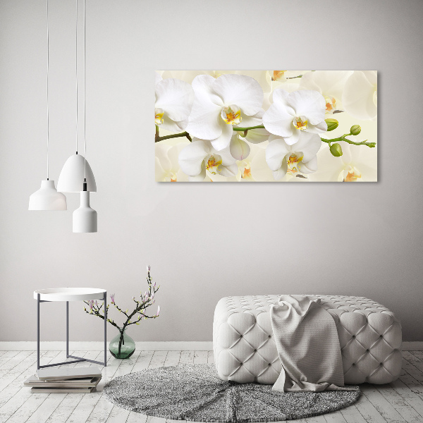 Schilderij op glas Orchidee