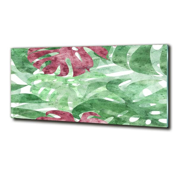 Foto schilderij op glas Monstera
