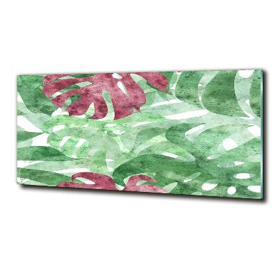 Foto schilderij op glas Monstera