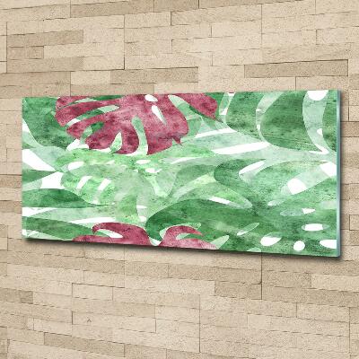 Foto schilderij op glas Monstera