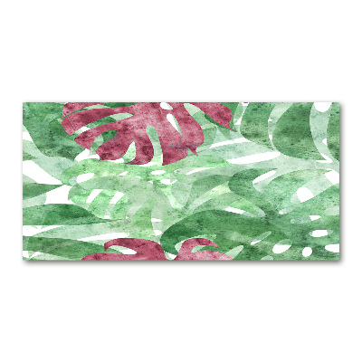 Foto schilderij op glas Monstera