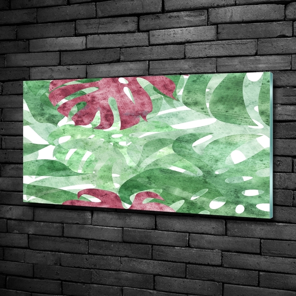 Foto schilderij op glas Monstera