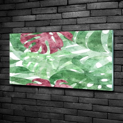 Foto schilderij op glas Monstera