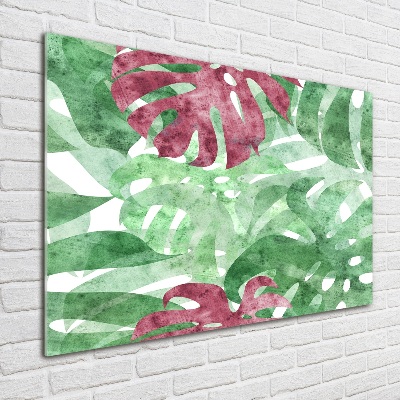 Foto schilderij op glas Monstera