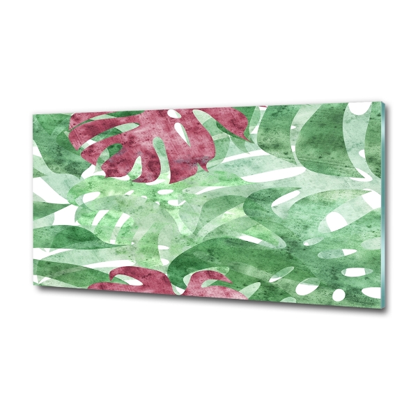 Foto schilderij op glas Monstera