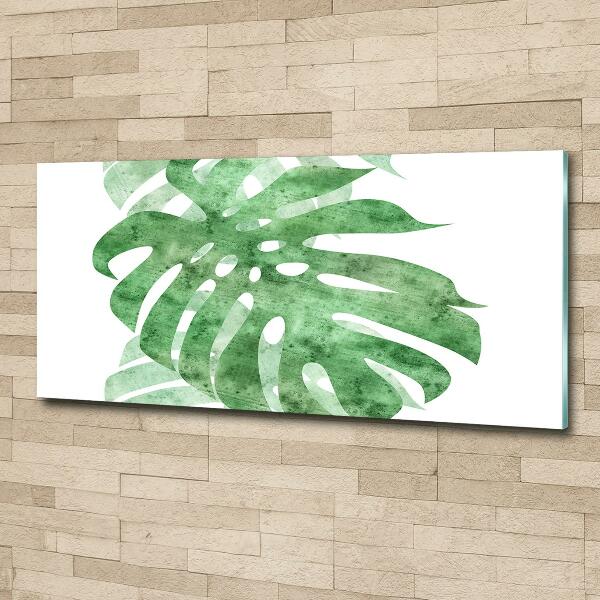 Schilderij op glas Monstera