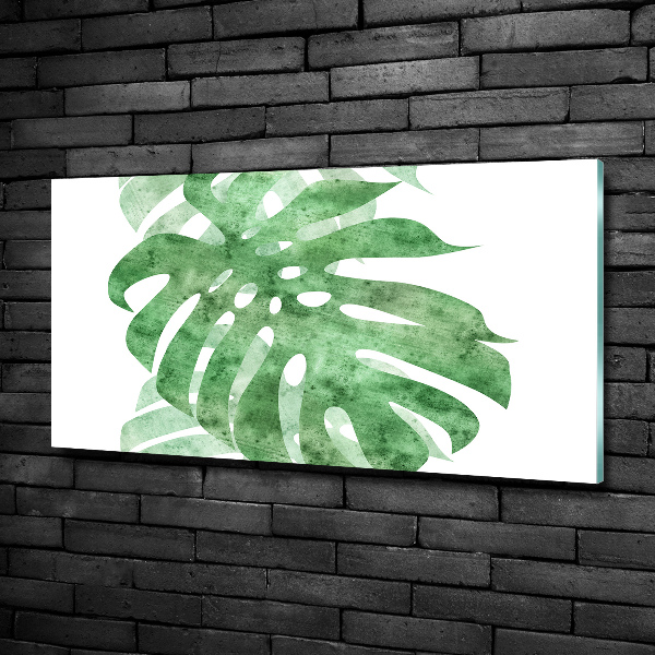 Schilderij op glas Monstera