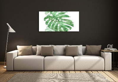 Schilderij op glas Monstera