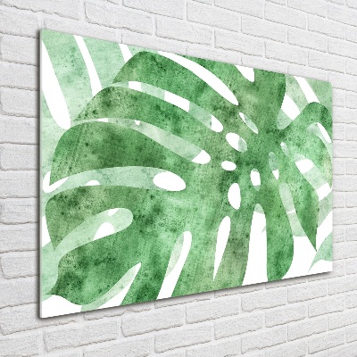 Schilderij op glas Monstera