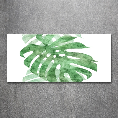 Schilderij op glas Monstera