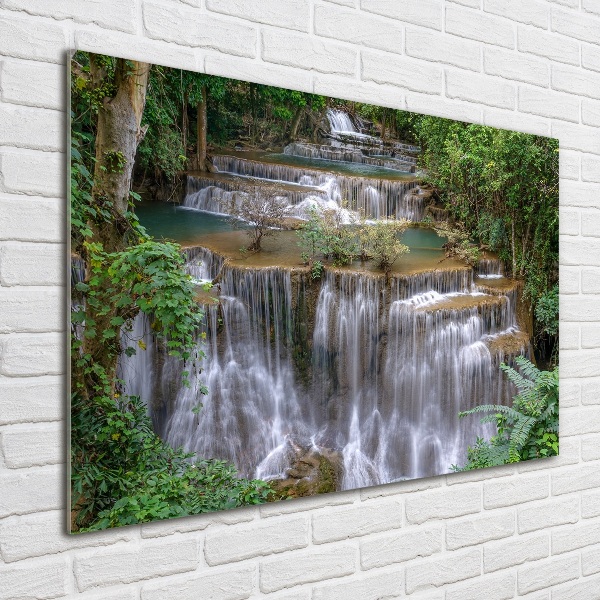 Foto schilderij op glas Waterval in het bos