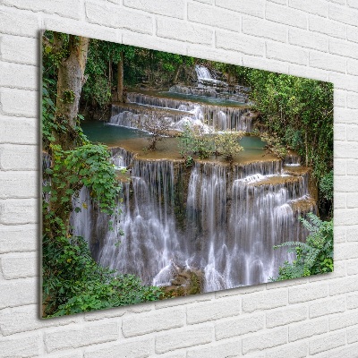 Foto schilderij op glas Waterval in het bos