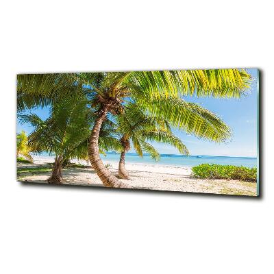 Schilderij op glas Tropisch strand