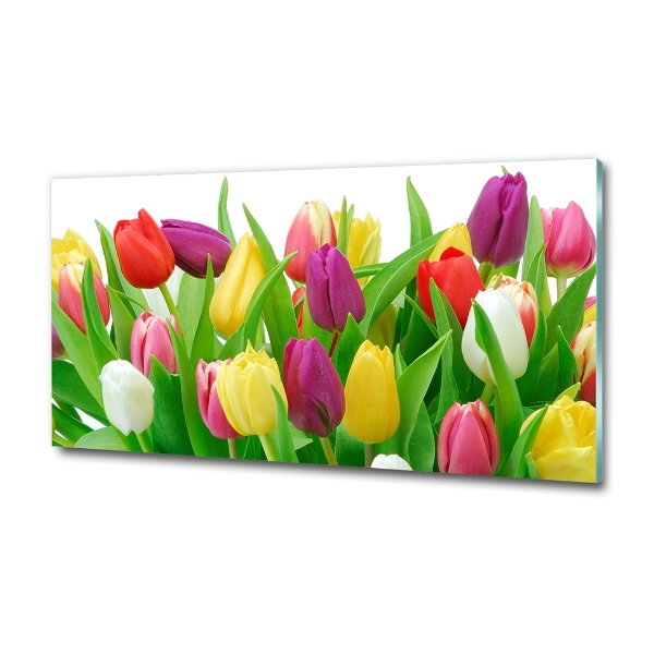 Glazen schilderij Kleurrijke tulpen