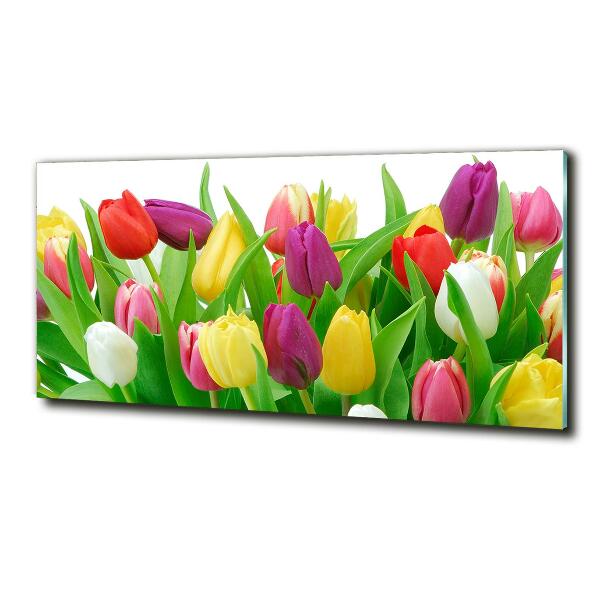 Glazen schilderij Kleurrijke tulpen