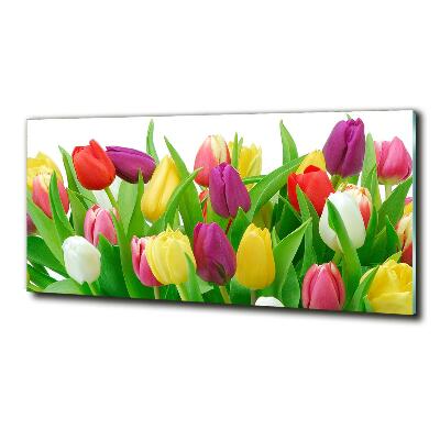 Glazen schilderij Kleurrijke tulpen