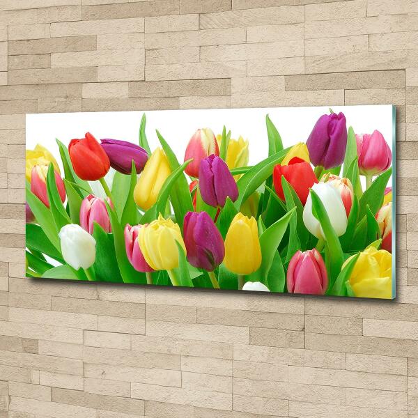 Glazen schilderij Kleurrijke tulpen