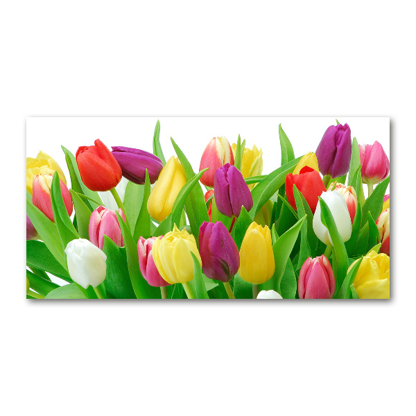 Glazen schilderij Kleurrijke tulpen