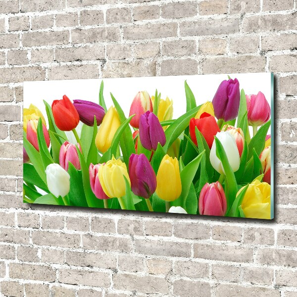 Glazen schilderij Kleurrijke tulpen