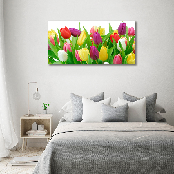 Glazen schilderij Kleurrijke tulpen