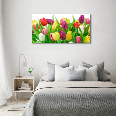 Glazen schilderij Kleurrijke tulpen