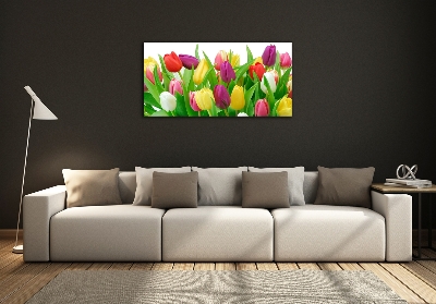 Glazen schilderij Kleurrijke tulpen