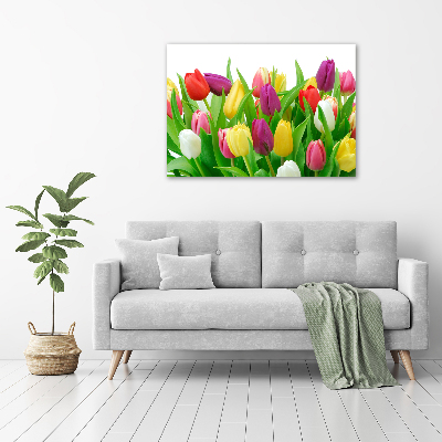 Glazen schilderij Kleurrijke tulpen