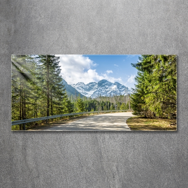 Schilderij op glas Tatra-gebergteweg
