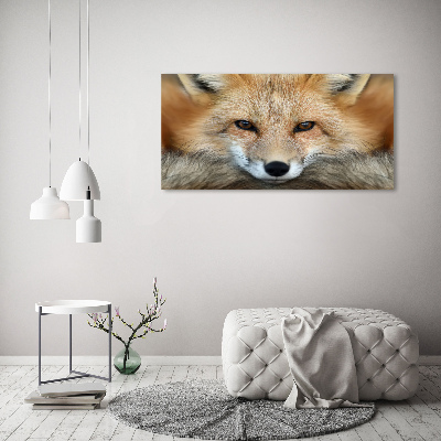 Foto schilderij op glas Vos