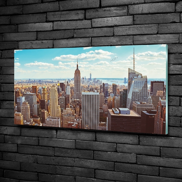 Foto schilderij op glas New York vanuit vogelperspectief