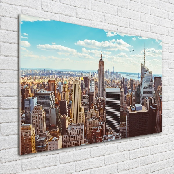 Foto schilderij op glas New York vanuit vogelperspectief