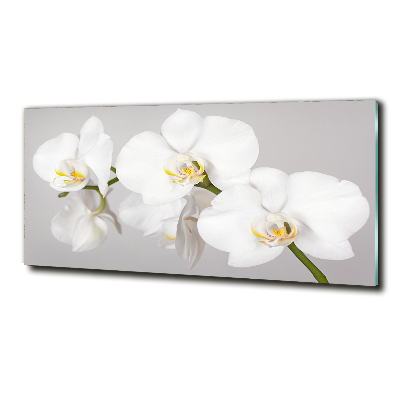 Schilderij glas Orchidee